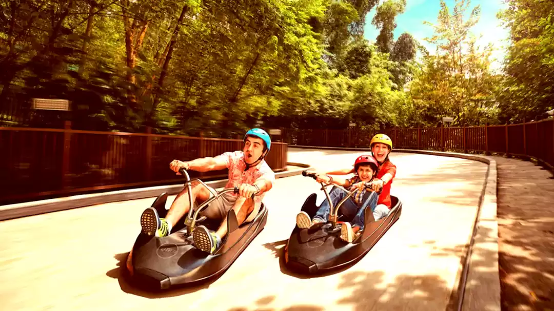 Photo of Adventures With