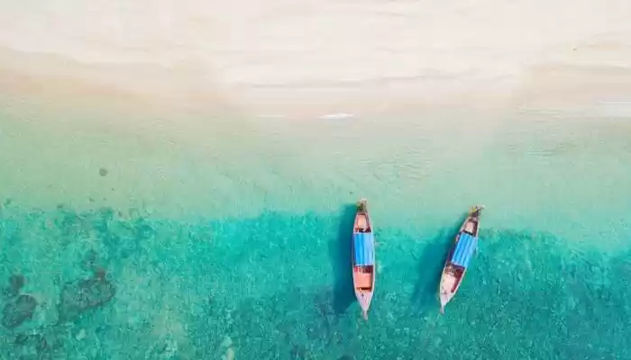Image 1 of Exotic Andaman