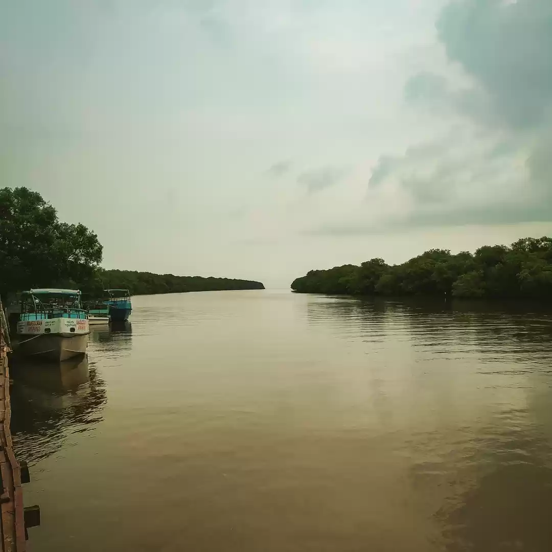 Photo of Coringa Wildlife Sanctuary