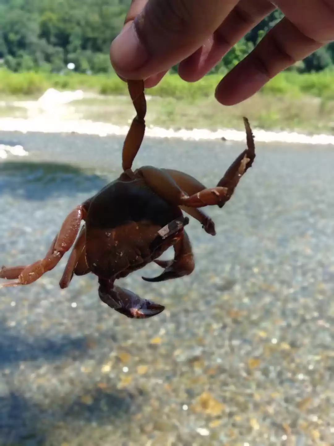 Photo of Jim Corbett National