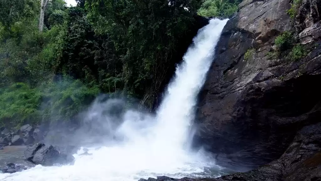 Photo of Soochippara Falls (Sentinel Rock Waterfall)