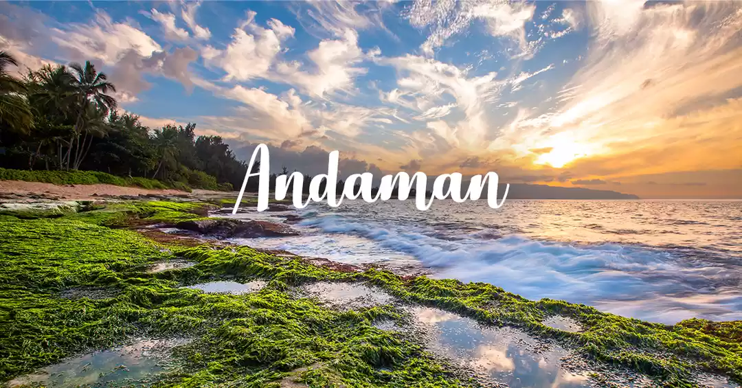 Image 1 of Full-Filled Andaman