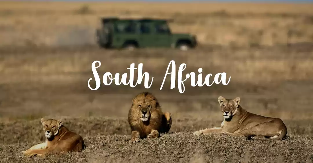 Photo of South Africa With Mabula