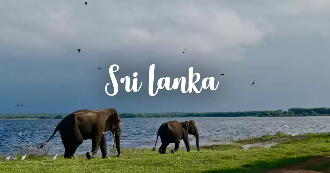 Photo of Exotic Sri Lanka 