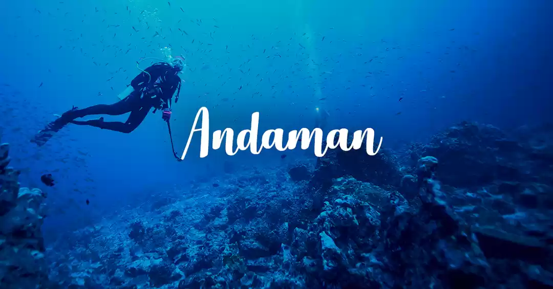 Image 1 of Exotic Andaman 