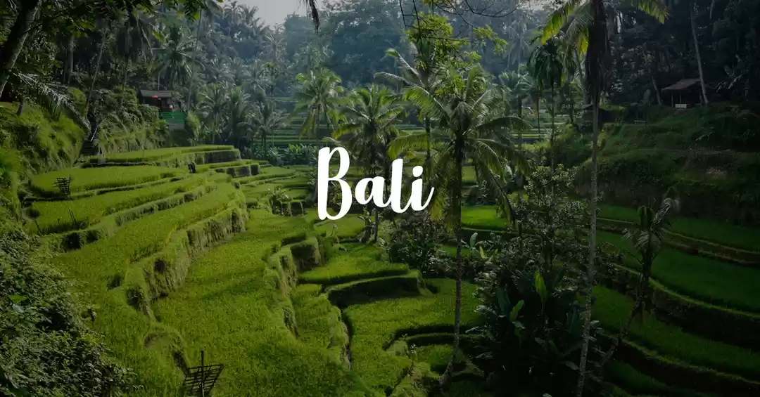 Image 1 of 6 Days in Bali 