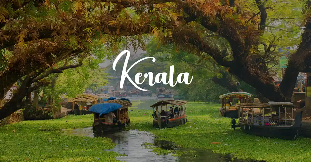 Image 1 of Tropical Paradise: Kerala