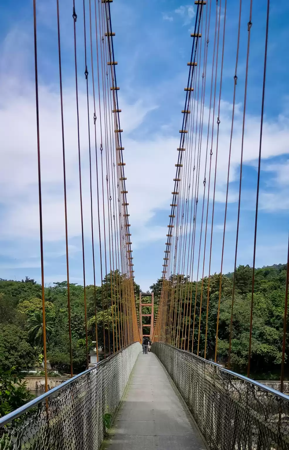 Photo of Ezhattumugham Prakriti Gramam