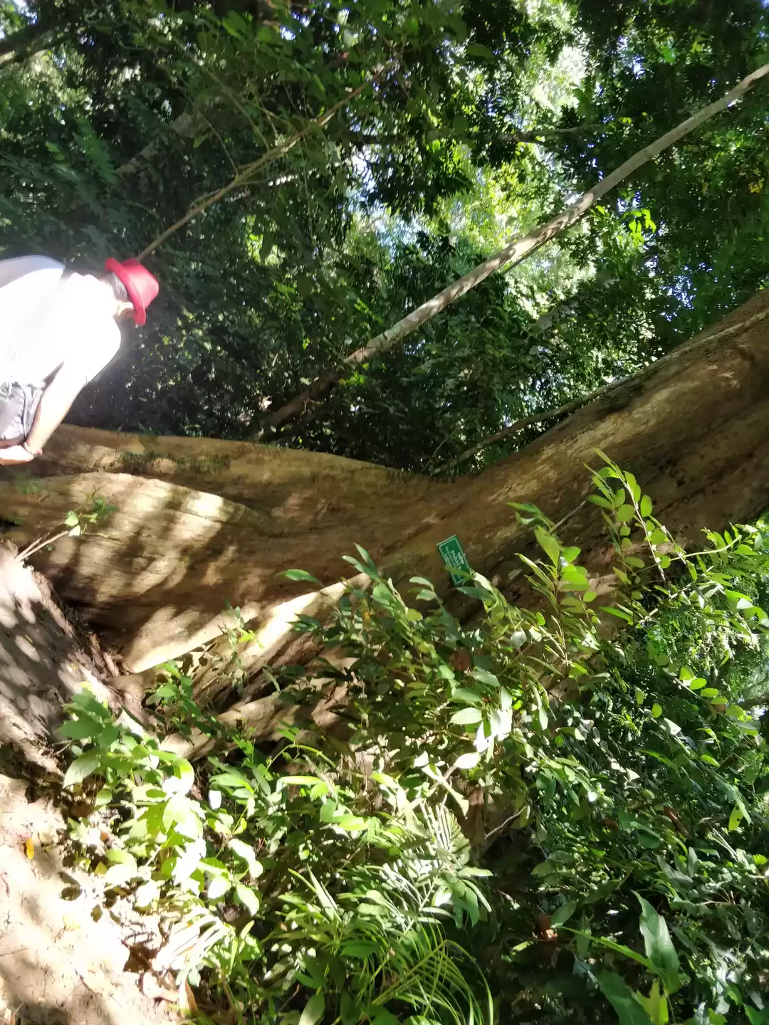 Photo of Elephant Beach