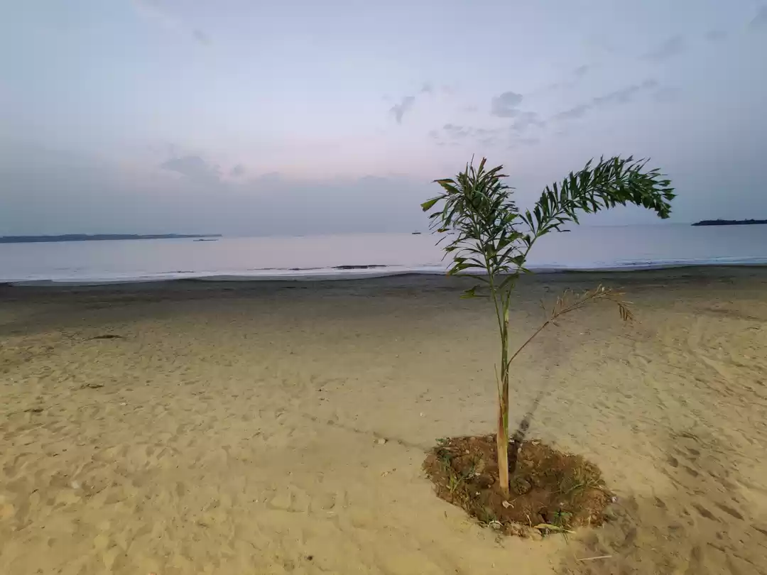 Photo of Saurashtra (Diu-Somn