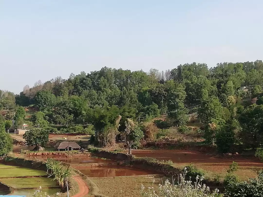 Photo of Nilavoor Rd