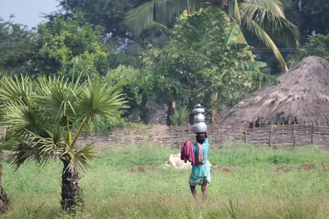 Photo of Godavari River