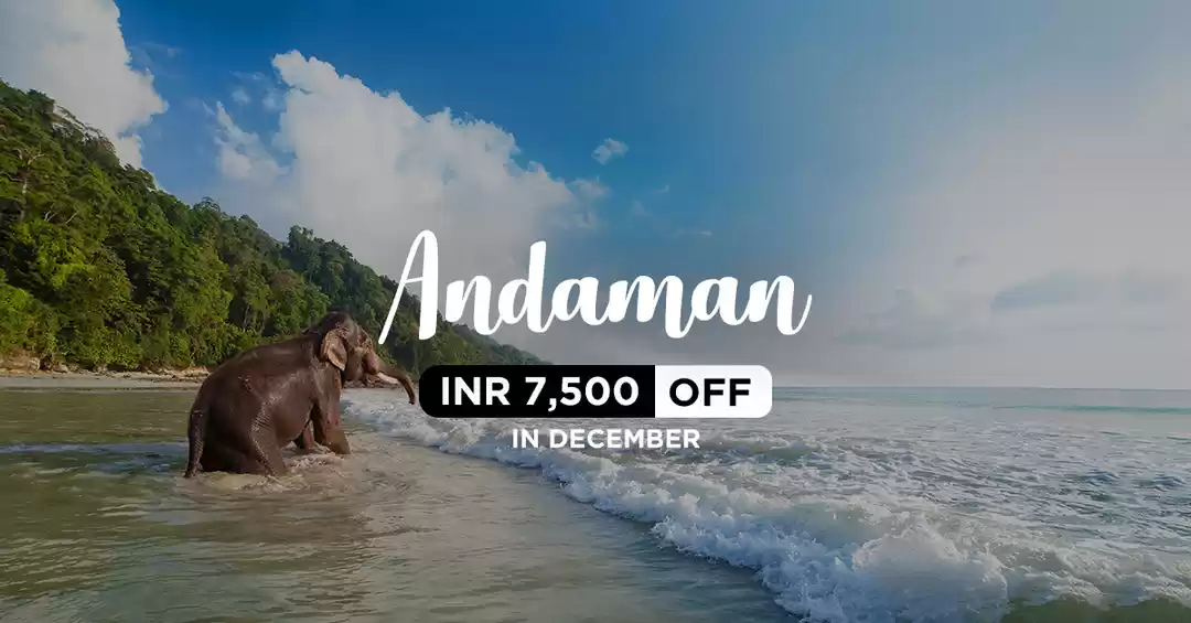Image 1 of Luxurious Andaman (Ex Delhi)