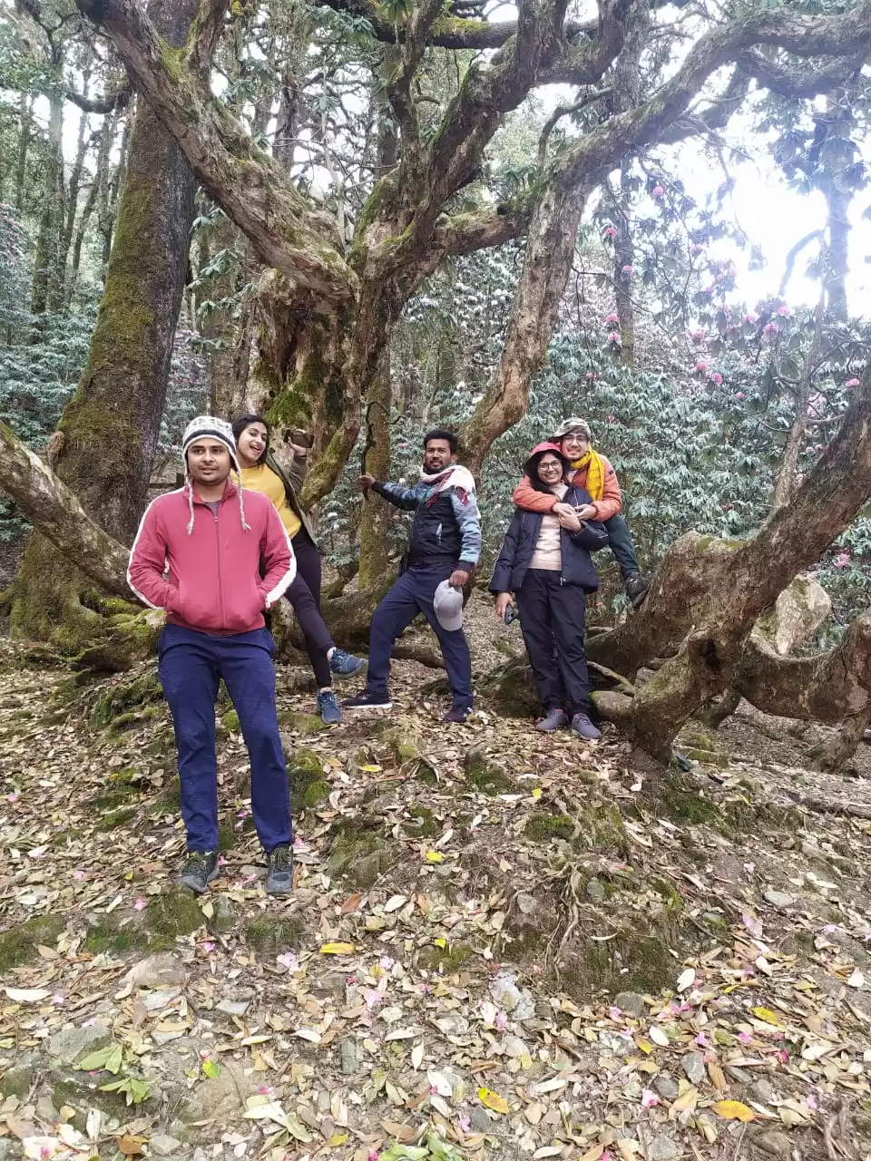 Photo of मौत का सौदागर