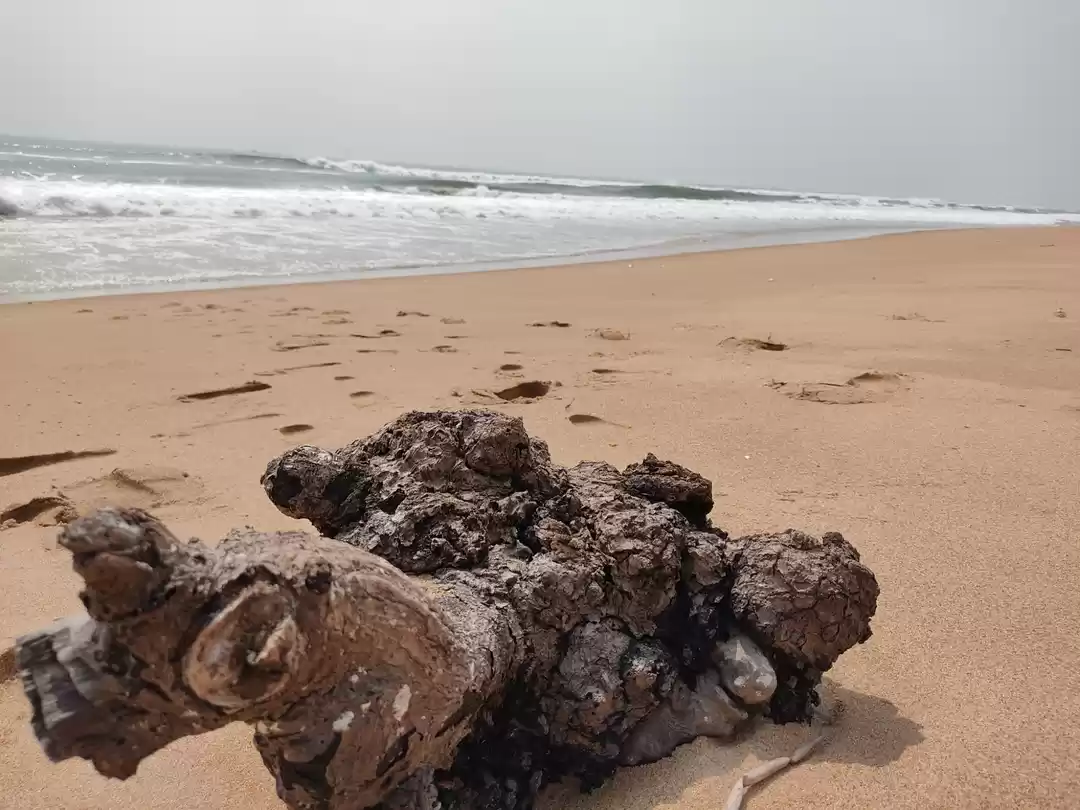 Photo of Konark Road
