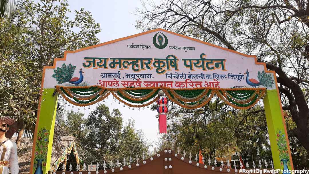 राजस्थान पर्यटन! इस बार पर्यटकों ने की जबरदस्त वापसी, विदेशी पर्यटकों की  संख्या पर लगा ब्रेक | Drop in number of foreign tourists in Rajasthan -  Hindi Nativeplanet