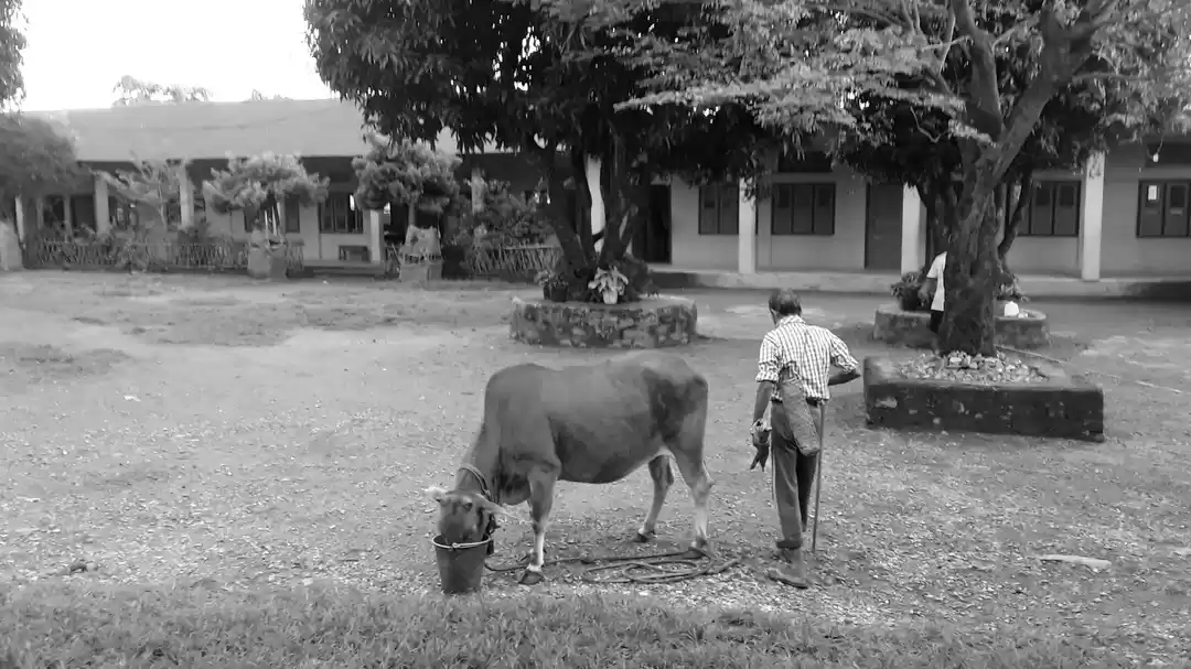 Photo of NANI MARIA KINDER GARTEN SCHOOL