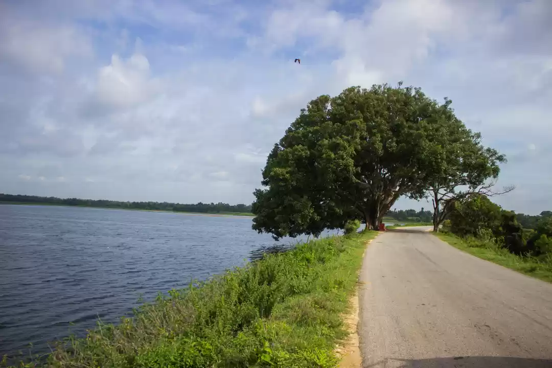 Photo of Talakad Road Lake View