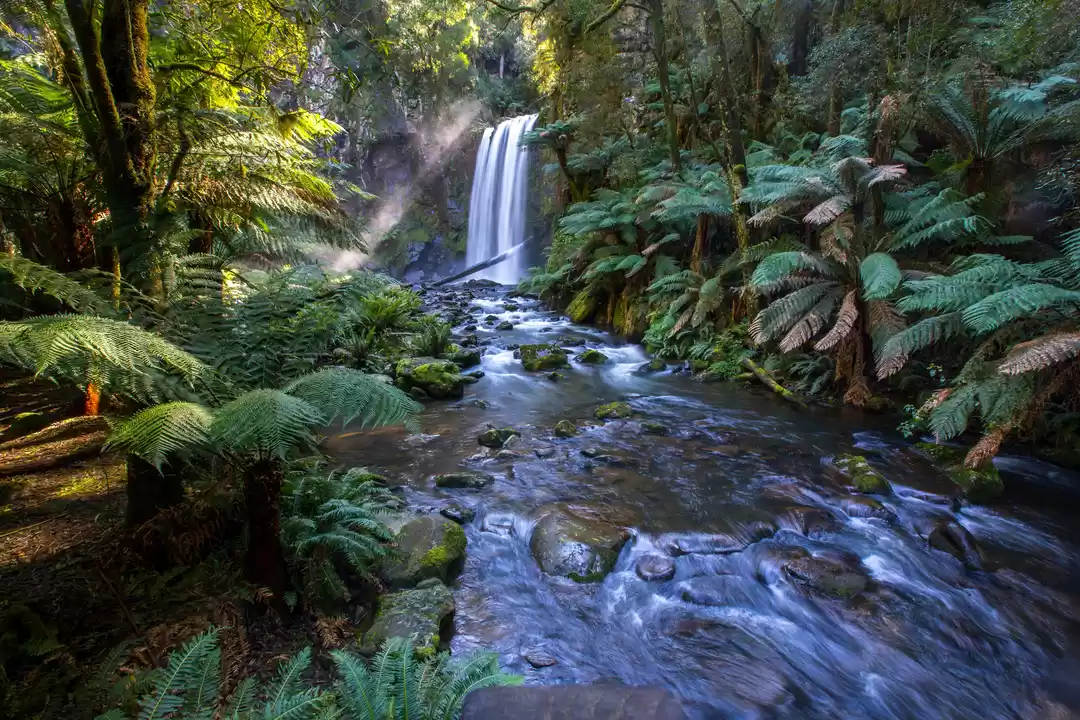 Photo of Take the Scenic Rout