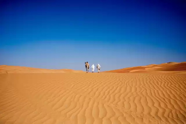 Photo of Amazing Facts About 