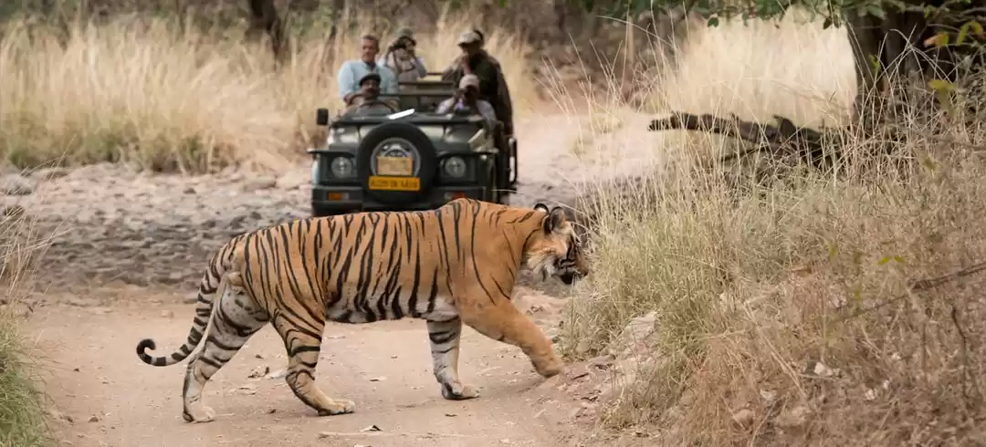 Photo of Best National Parks 