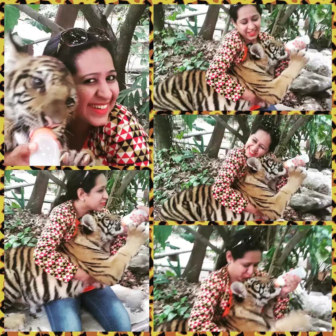 Photo of Safari World