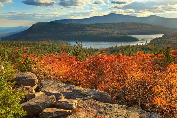 Photo of A Foliage-Filled Adv