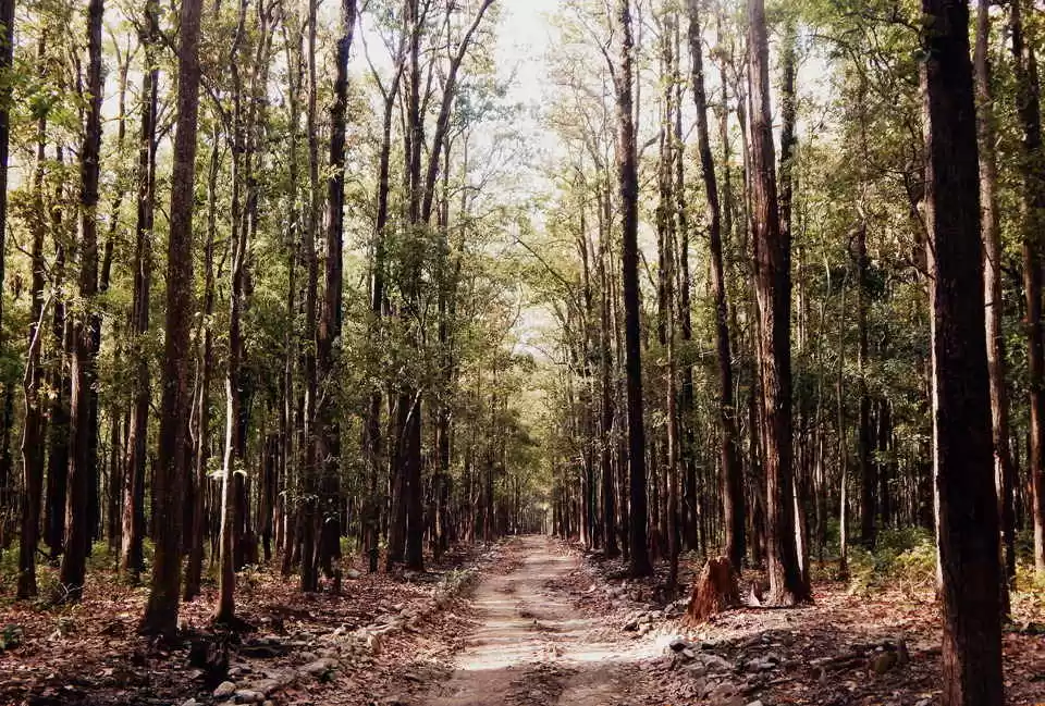 Photo of 7-Day Guide