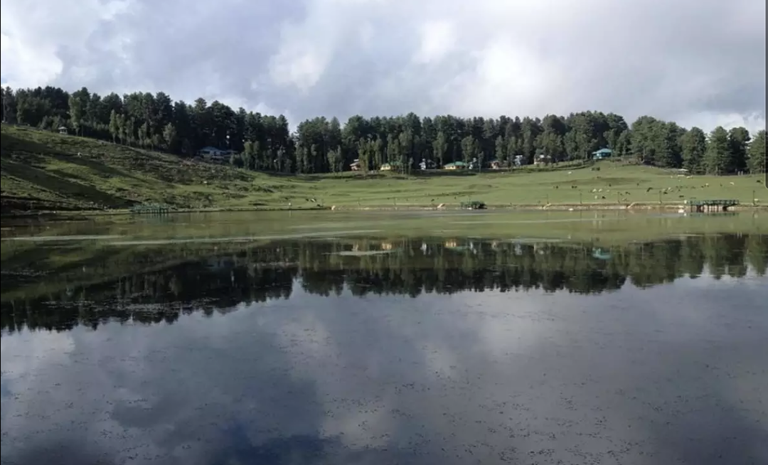 Photo of Did You Know About T