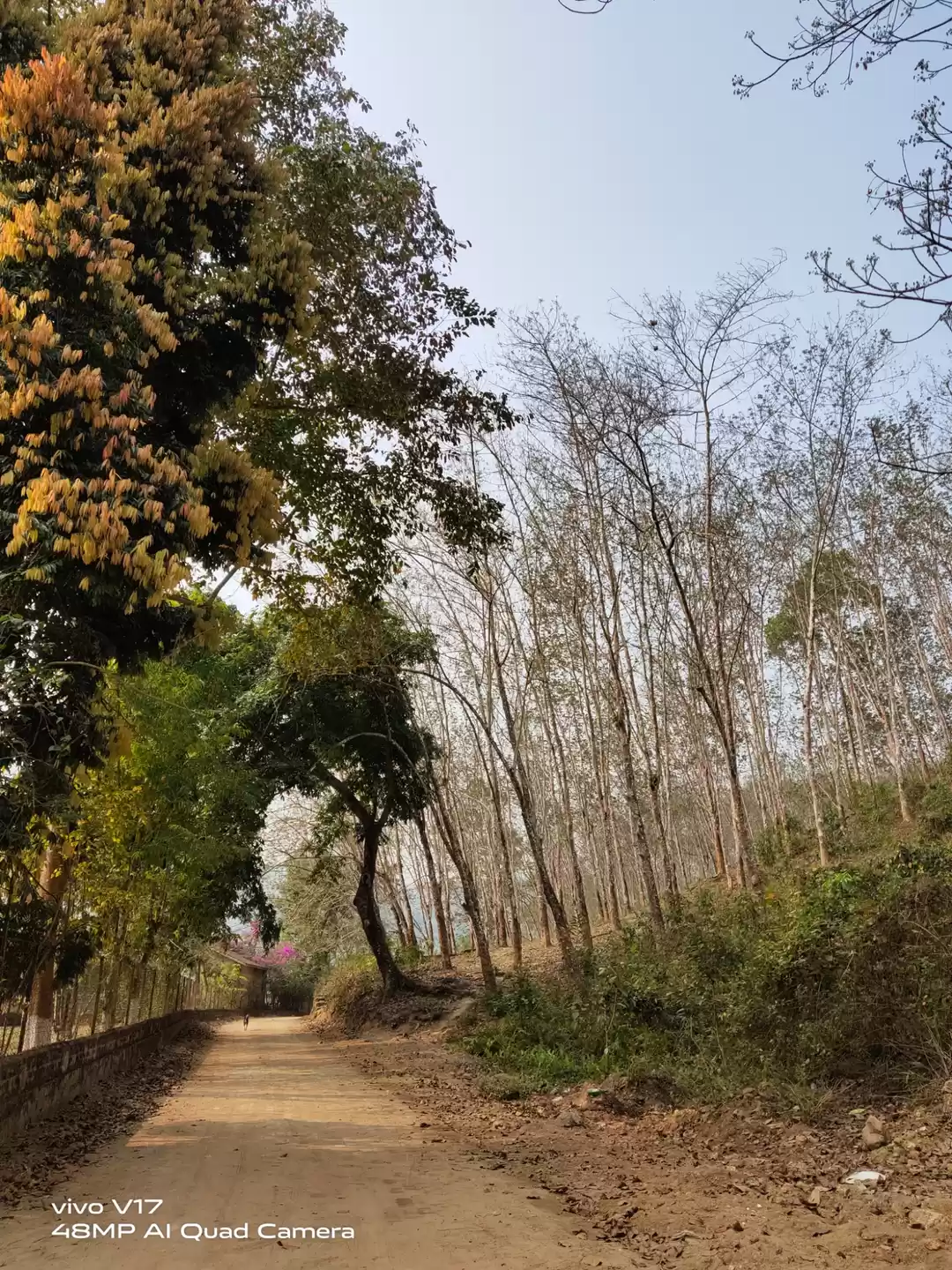 Photo of Kaziranga National Orchid And Biodiversity Park