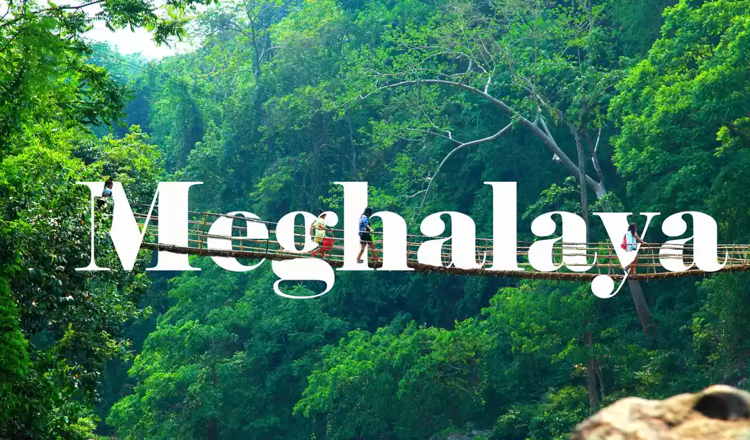 Photo of "Discover the Hidden