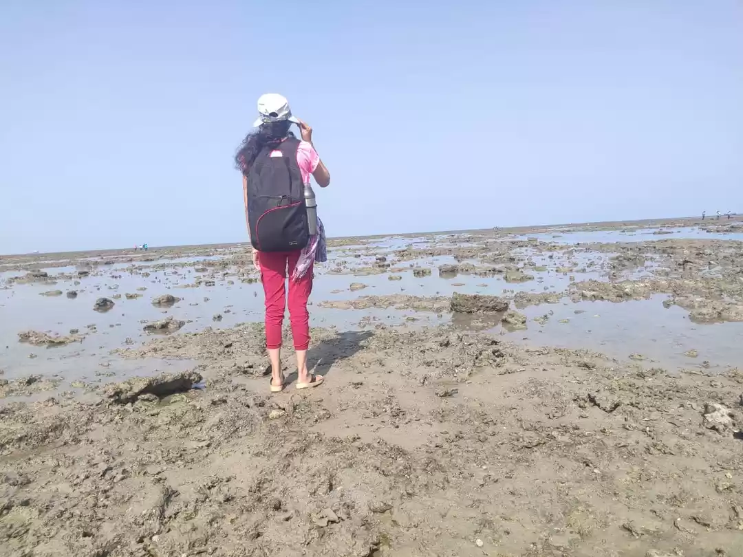 Photo of Seductive Coral Walk