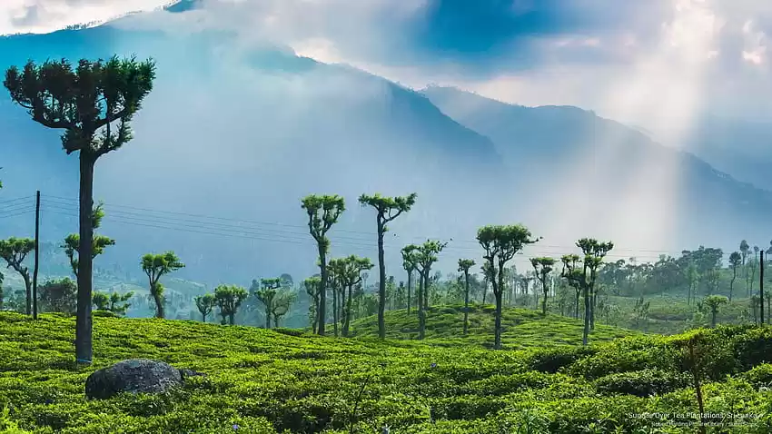 Vietnam to Sri Lanka: A Quick Guide to Visas in South Asia - Tripoto