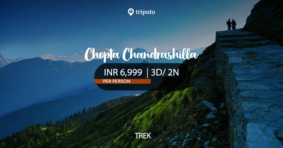 Photo of Chopta-Chandrashila Trekking Expedition