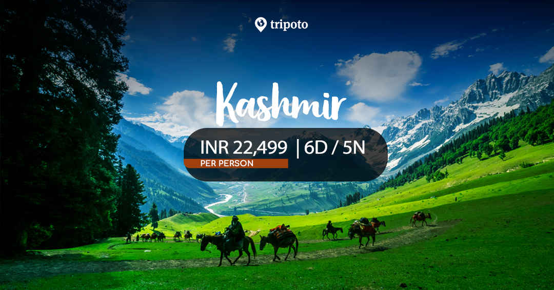 Photo of Kashmir Family Holiday