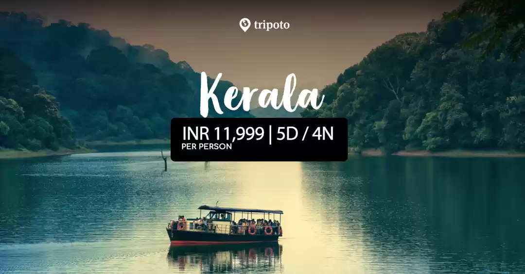 Photo of 5 Days in Kerala