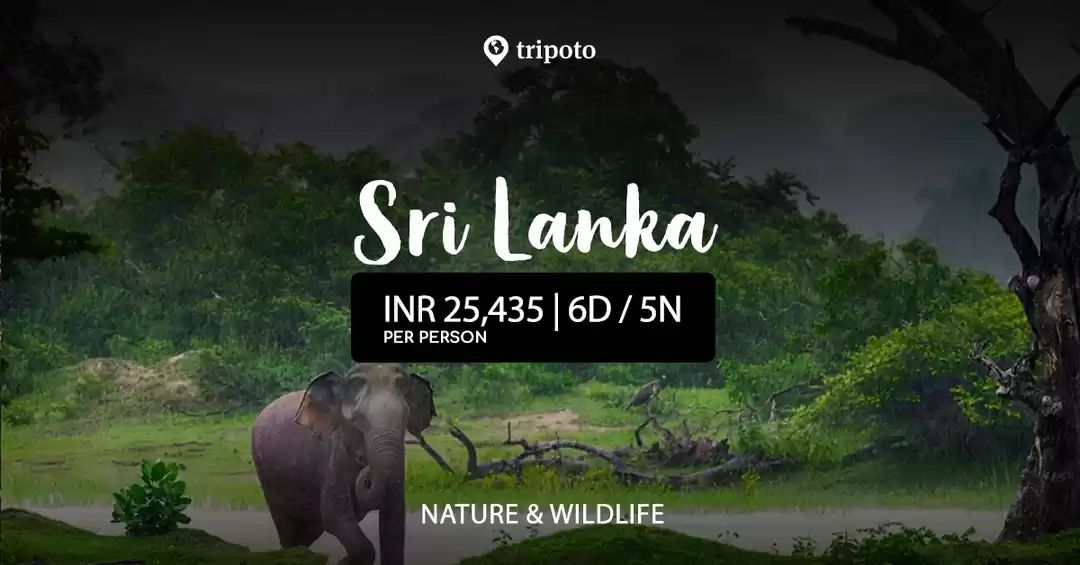 Image 1 of Explore the Wildlife of Srilanka