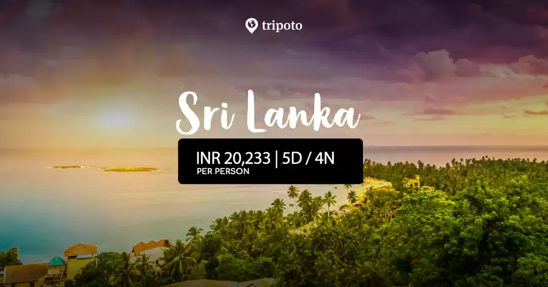 Photo of Explore Srilanka's Culture