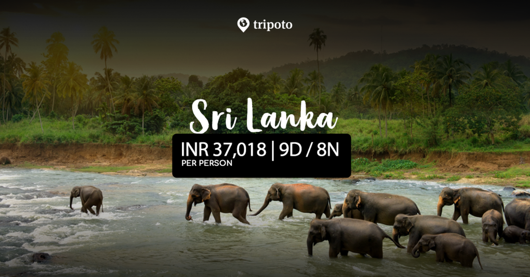 Photo of 9 Days Tour in Srilanka