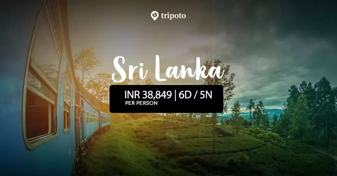 Photo of Spring Vacation in Sri Lanka