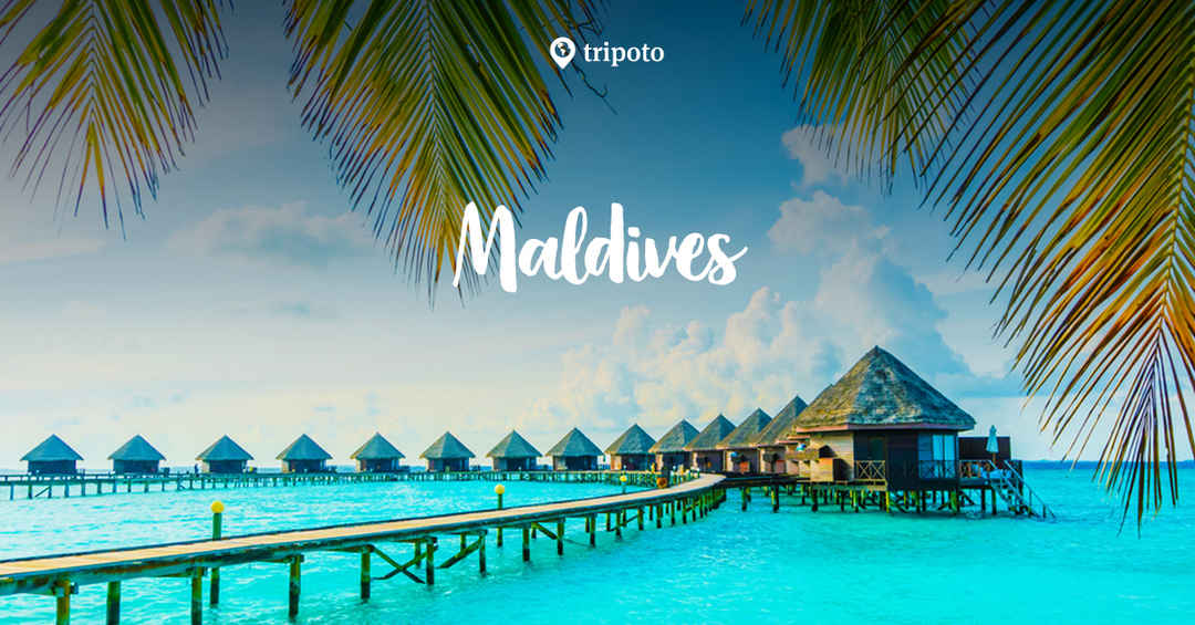 Photo of Maldives Holiday Packages
