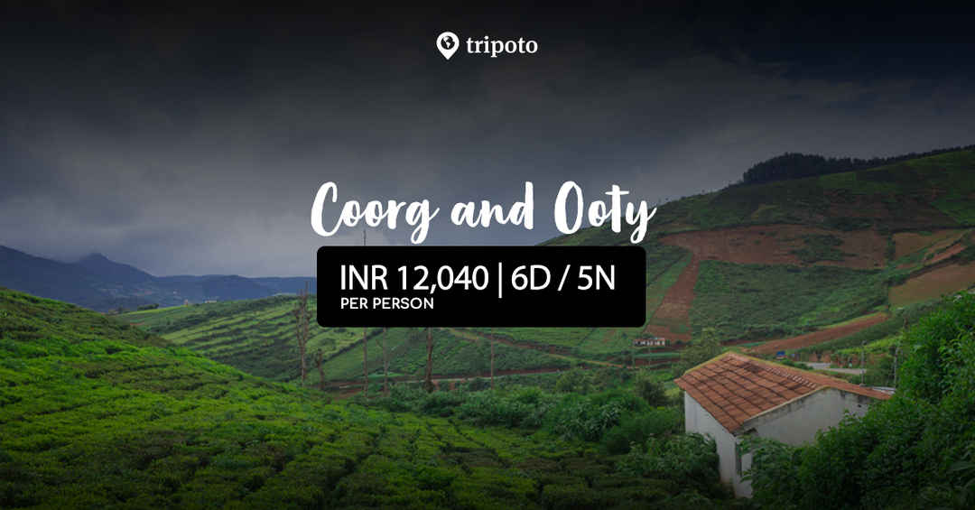 Photo of Coorg and Ooty Explorer