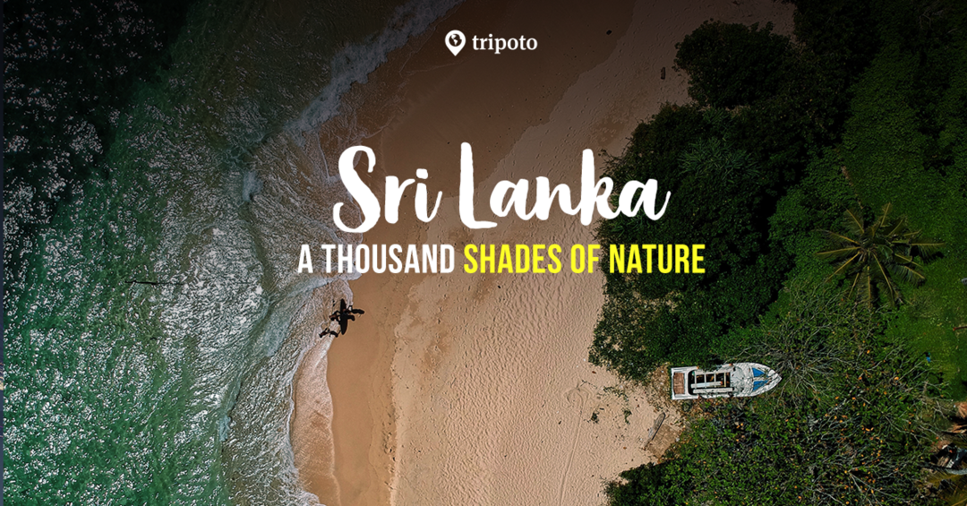 Photo of Sri Lanka Packages