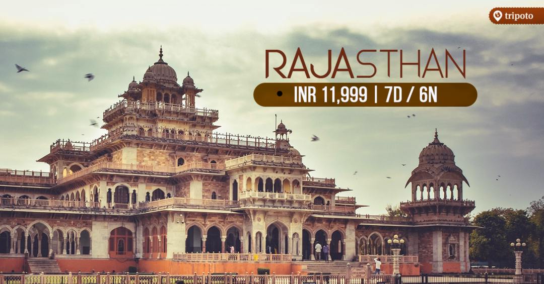 Photo of Rajasthan: Castles and Sand