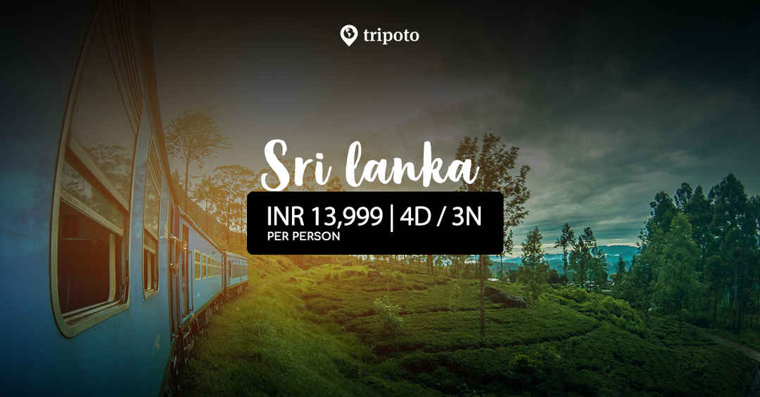 Photo of Discover Sri Lanka