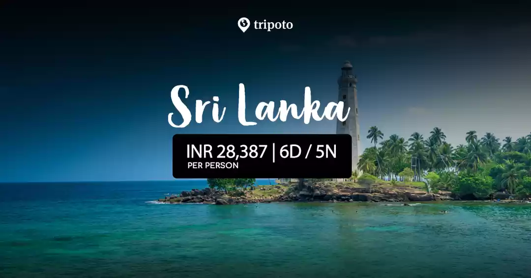 Photo of 6 Days in Sri Lanka (Ex-Colombo)
