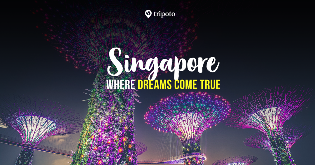 Photo of Singapore Packages