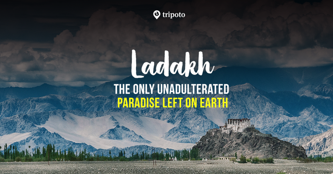 Photo of Ladakh packages
