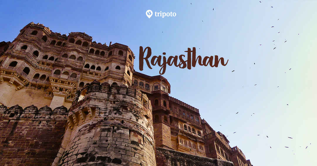 Photo of Rajasthan Packages