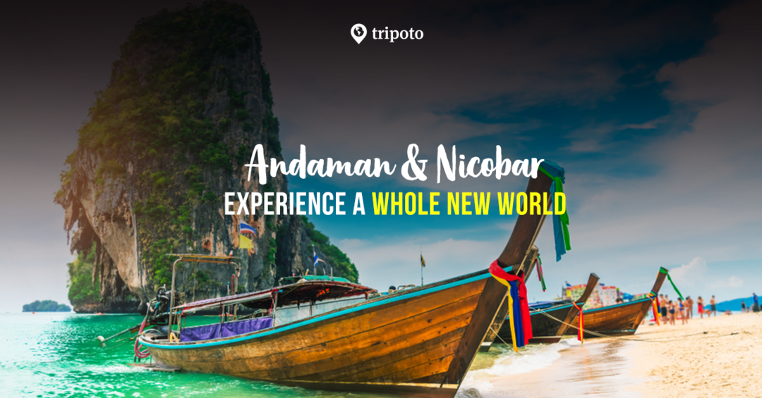 Photo of Andaman Packages